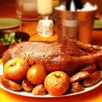 Avantaje și prejudicii de carne - carne de iepure este un mai sănătos, carne de vânat, gâscă, rață