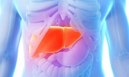 Препарати за почистване на черния дроб у дома медицина и лекарства