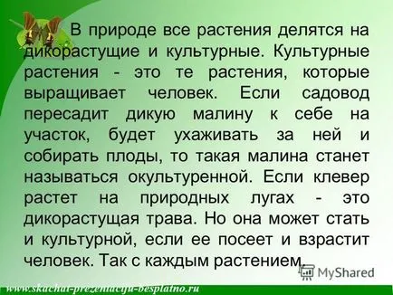 Представяне на културните растения изтеглите безплатно и без регистрация