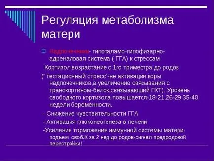 Представяне на лекарството върху ендокринология на бременността безплатно изтегляне