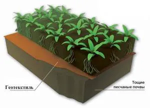 Използването на геотекстил в страната, където можете да използвате и как правилно да прибират