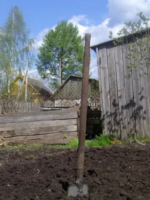 Gătitul și cum să facă compost, ceea ce face compost și gunoi de grajd