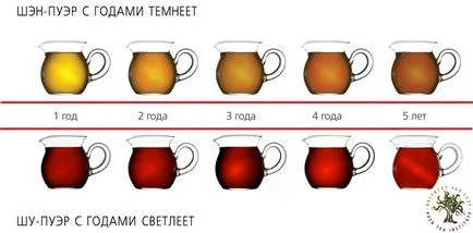 Puer öreg vagy fiatal, hogy jobb teaterra, teaterra