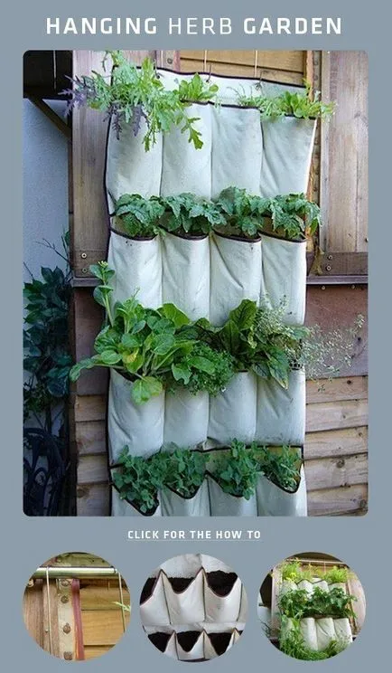 Plantele în casă - un zid viu - sub formă de grădini verticale