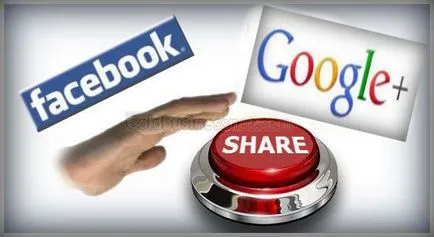 Социални бутони за уеб сайт от Google и Facebook, изработка на уеб сайт и печалба