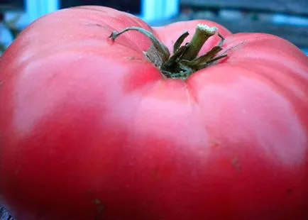 Розови сортове домати със снимки и описание