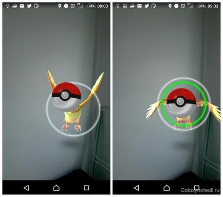 Sfaturi și trucuri pentru Pokémon du-te