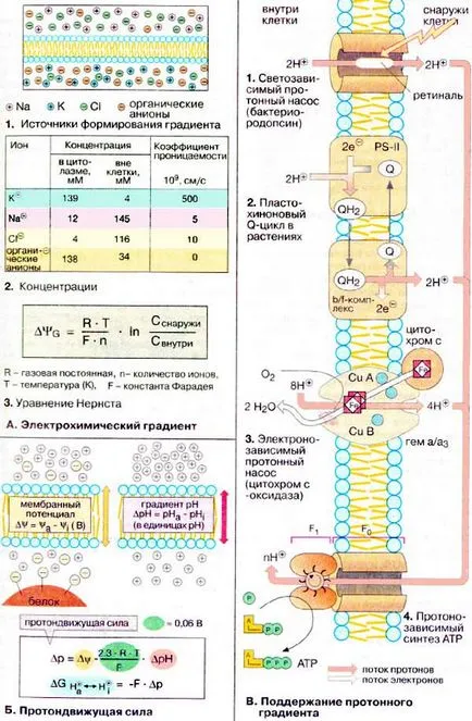 Запазване на енергия на мембраните