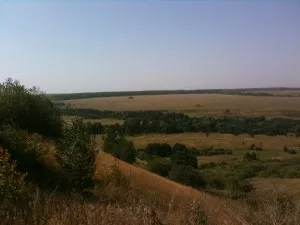 Afaceri în sat, ferma de origine