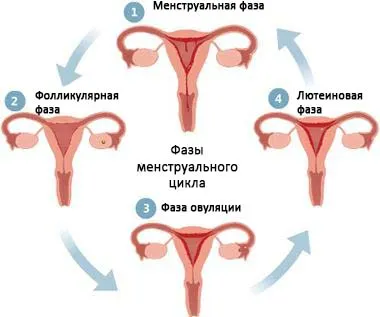 Fájdalmas ovuláció okok, tünetek, kezelés