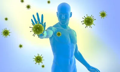 Блог Съвети за продукти, засилване на имунната система