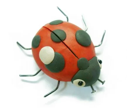 plastilină Ladybird 1