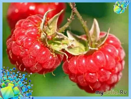 Buchet de zmeura dulciuri Berry - Buchete din bomboane, jucării, culori, hârtie cu propriile sale mâini