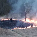 Какво да Карел сплав