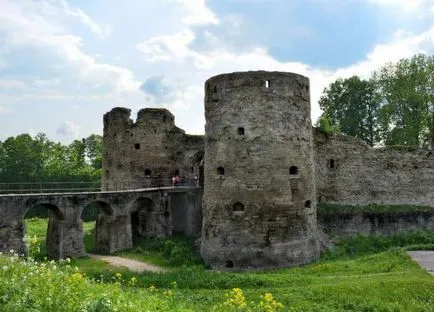 Какво да се види в борова гора атракции