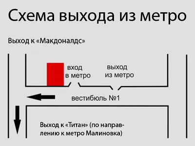 Куче скутер скутери за ходене на кучето