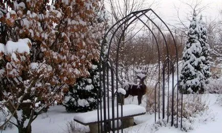 Design grădină în timpul iernii reguli frumos peisaj de iarnă