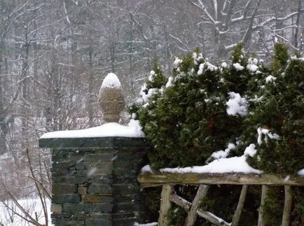 Design grădină în timpul iernii reguli frumos peisaj de iarnă
