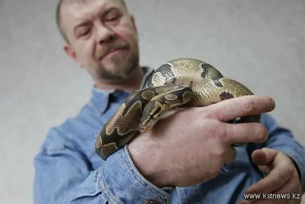 de șerpi de experți a dat sfaturi despre cum să evite să devină o victimă a reptile
