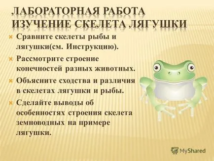 Compararea și broaște râioase sunt asemănările și diferențele de clasa 2 din lume - broasca este diferită de