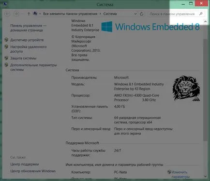 Specificitatea în modul fereastră sistemul de operare Windows, Windows alb