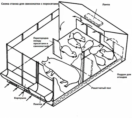 Mașină pentru scroafe cu mâinile lor desene, dimensiuni