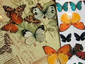 Economie scrapbooking, scrapboutique