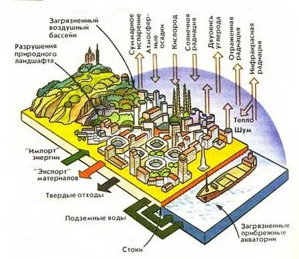 Екология на Толиати, въздействието на града към природата