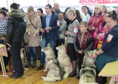 Photo jelentést a kutyakiállításon - étkezés kupa 2016