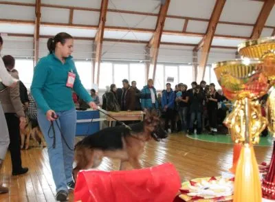 Reportaj foto de la spectacol de câine - masă ceașcă 2016