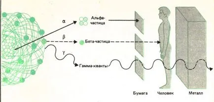 Гама радиация повреда, опасност, методи на защита