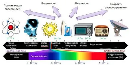 Гама радиация повреда, опасност, методи на защита