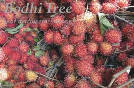 Fructele din Thailanda - fructe exotice cultivate în Thailanda