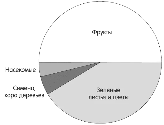 Глава 3 от хранителни шимпанзета