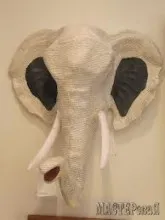 capete de animale (papier mache)