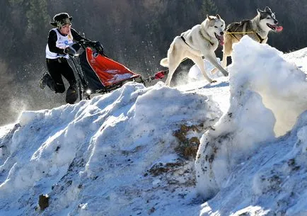 Racing caini de sanie - sezonul se apropie de sfârșit este interesant!