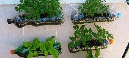 Idei de sticle de plastic pentru casă și grădină! propriile lor mâini