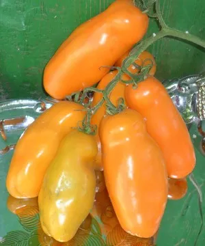 Интересни оригинални сортове домати и чушки