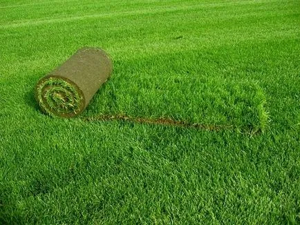 Изкуствена трева в страната - предимства и недостатъци, отзиви на клиенти