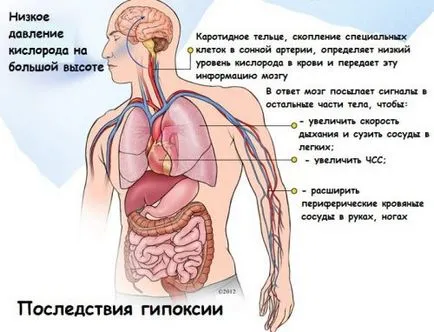 Отклонило преграда симптоми, диагностика