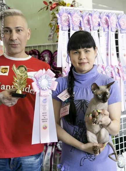 Interjú Szfinx tenyésztő Darja tenderes kennel - tender idegen, kanadai Sphynx