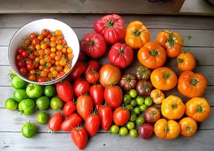 Iodul pentru răsadurilor de tomate