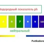 Milyen termékeket vagy oxidálódik lúgos test