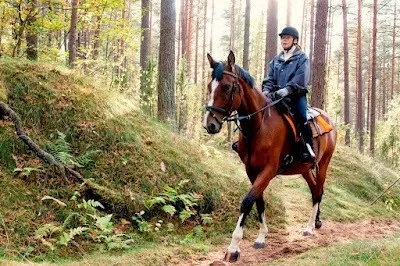 Cum să învețe să călărească un cal este sa stii despre echitatie si unelte