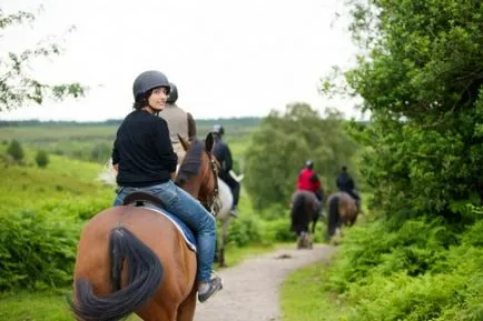 Hogyan lehet megtanulni lovagolni, amit tudni lovas és sebességváltó