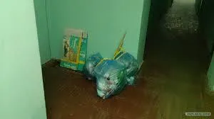 Cum se intarca vecinii pun saci de gunoi în intrare