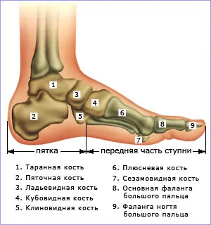 Как да изберем бебешки обувки, ORTEKS - ортопедични салон