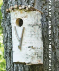 Cum sa faci o Birdhouse cu mâinile 4 lecții cu desene, birdhouses improvizate din