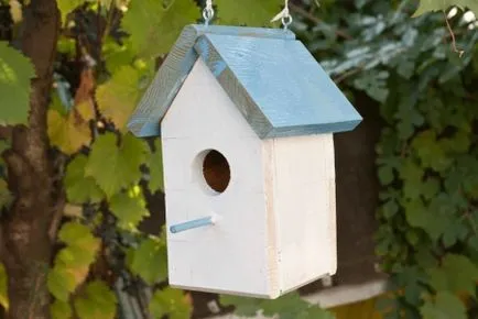 Cum sa faci o Birdhouse cu mâinile 4 lecții cu desene, birdhouses improvizate din