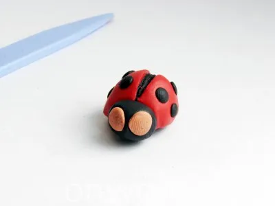 Cum orb Ladybird de la atelier cu plastilină pas cu pas fotografii